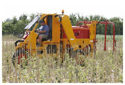 Working the fields